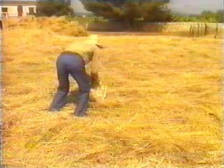 CAMPO (94)  LABRANZA
